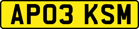 AP03KSM