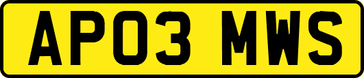 AP03MWS