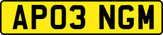 AP03NGM