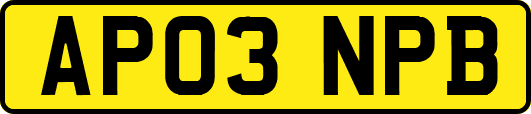 AP03NPB