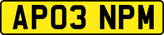 AP03NPM