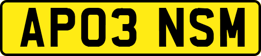 AP03NSM