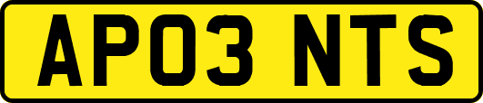 AP03NTS