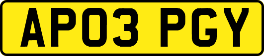 AP03PGY