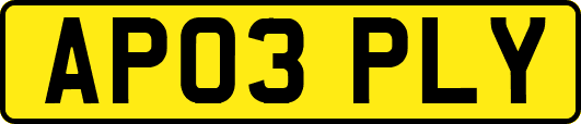 AP03PLY