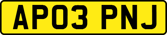 AP03PNJ