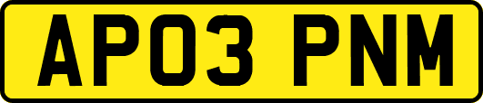AP03PNM