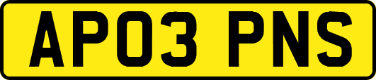 AP03PNS