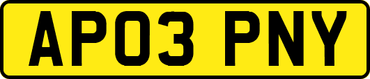 AP03PNY