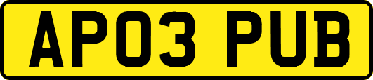 AP03PUB
