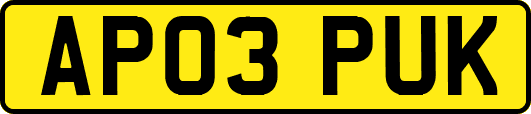 AP03PUK