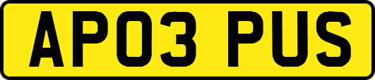 AP03PUS