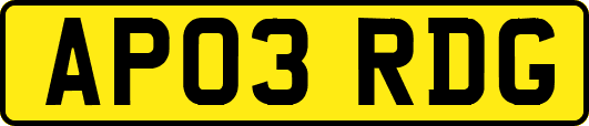 AP03RDG