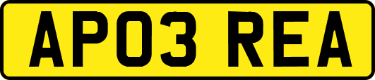AP03REA