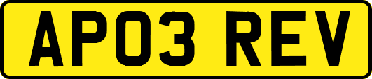 AP03REV