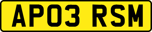 AP03RSM