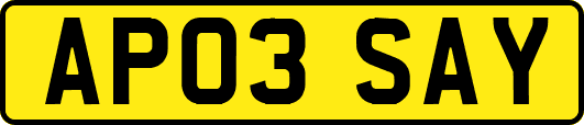 AP03SAY