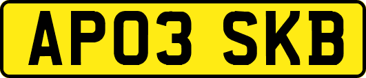 AP03SKB