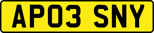 AP03SNY