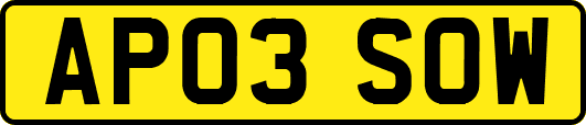 AP03SOW