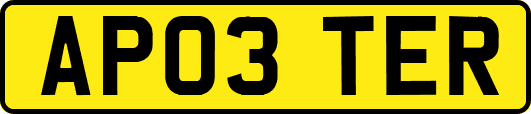 AP03TER