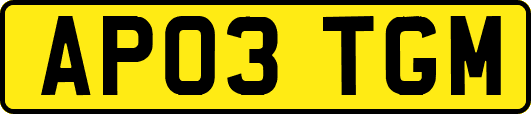AP03TGM