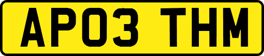 AP03THM