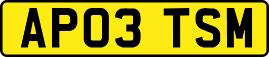 AP03TSM