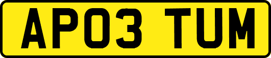 AP03TUM