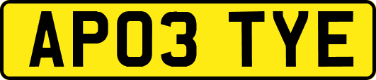 AP03TYE