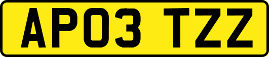 AP03TZZ