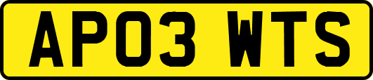 AP03WTS