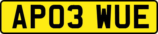 AP03WUE