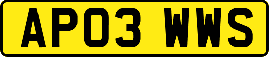 AP03WWS