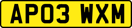 AP03WXM