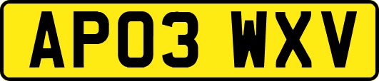 AP03WXV
