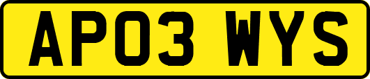 AP03WYS
