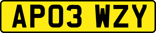 AP03WZY