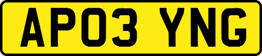 AP03YNG
