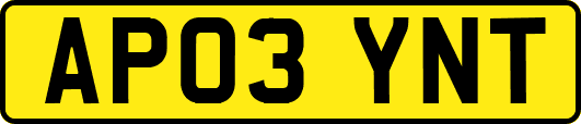 AP03YNT
