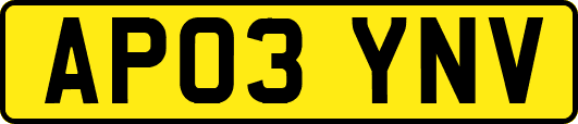 AP03YNV