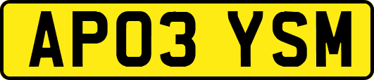 AP03YSM