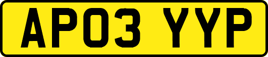 AP03YYP