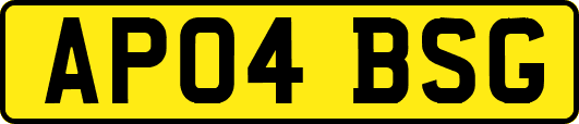 AP04BSG