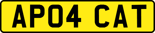 AP04CAT