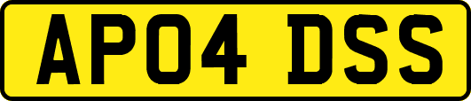 AP04DSS