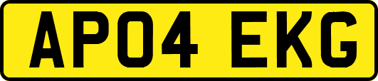 AP04EKG