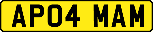 AP04MAM
