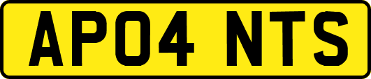 AP04NTS