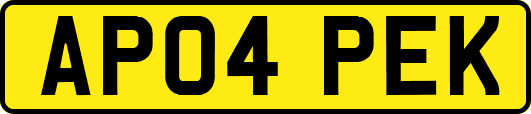 AP04PEK